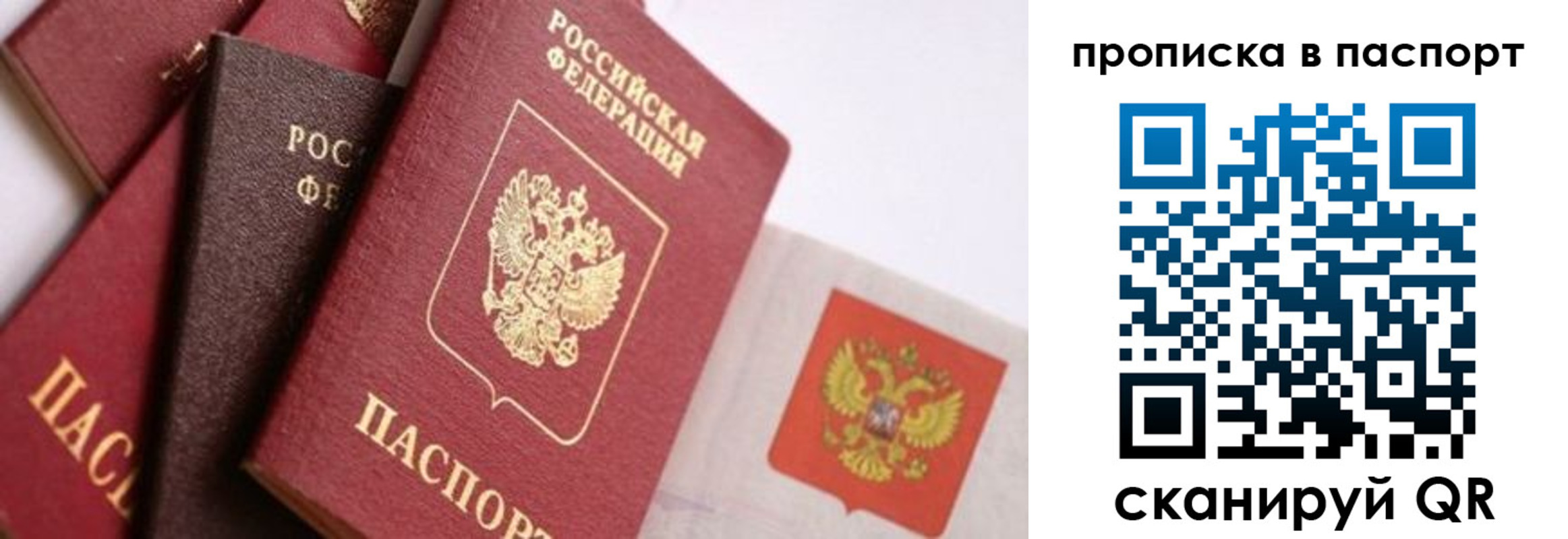прописка штамп в Заозёрске